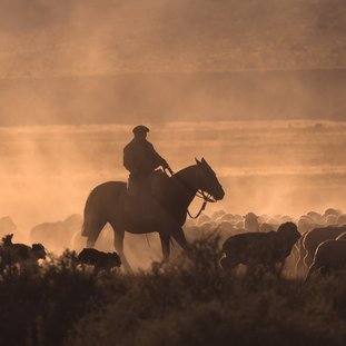 Gauchoestanciaargentina.jpg