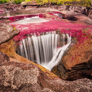 canocristales.jpg