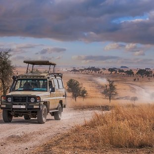 Serengeti-shutterstock_1054716632Large.jpg