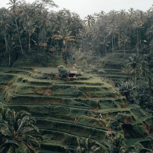 radoslav-bali-ca3d4fydf84-unsplash.jpg