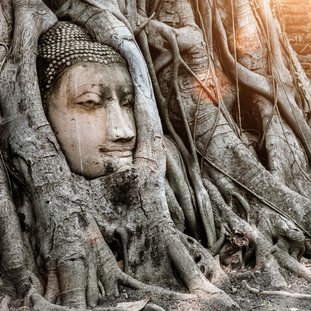 ayutthayathailandbuddha.jpg