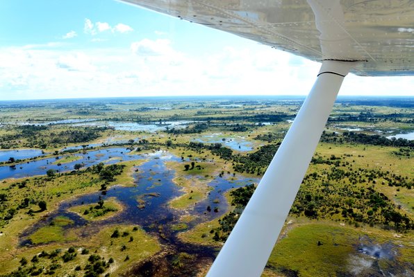 Luxe reizen in Botswana okavangodelat-shutterstock_199877309large.jpg