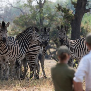 botswanacoupleonsafari-shutterstock_1172082826large.jpg