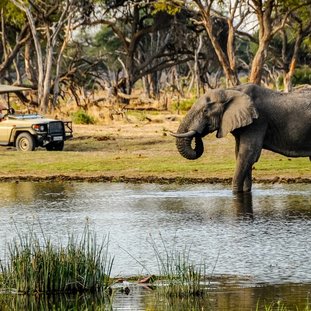 moremigamereserve-shutterstock_1307972509large2.jpg