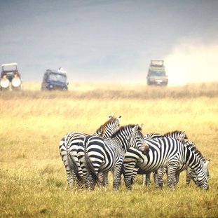 merunationalpark-shutterstock_229167574large.jpg