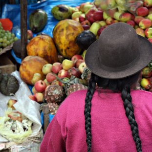 pisacmarketperu_shutterstock_33507301large.jpg