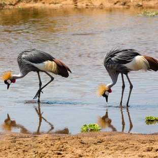 ruahanationalpark-shutterstock_664810084large.jpg