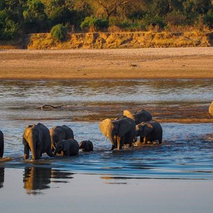 southluangwa-shutterstock_570715432large.jpg