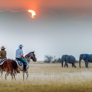 0-ride-botswana-horse-back-safaris-timbuktu-travel.jpg