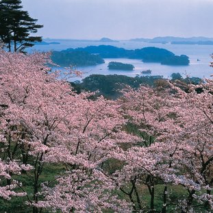 baaivanmatsushima2-enkelkorteversielarge.jpg