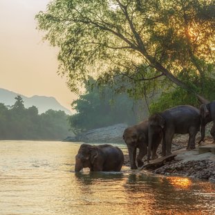 kanchanburi-shutterstock_1269108271large.jpg