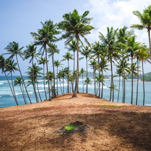 Mirissa-shutterstock_1423077269.jpg
