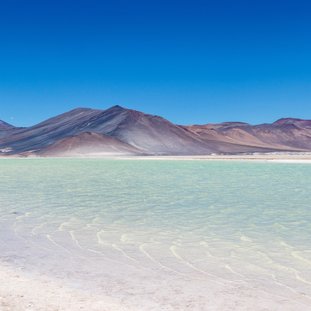 Miniques_miscanti_Altiplano_ChileLarge.jpg