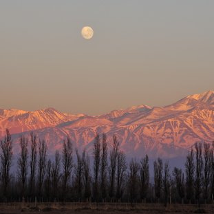 Mendoza_Argentini_wijn.jpg