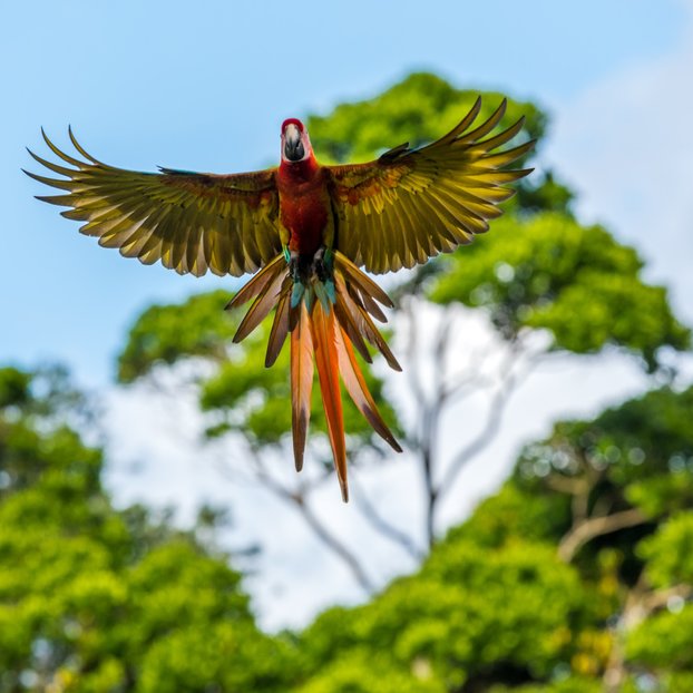 Costa Rica