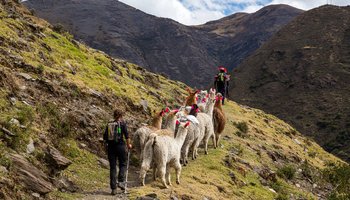 Peru-overalternatievepaden-omslagshutterstock_1246573531.jpg