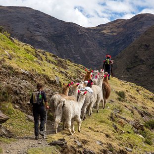 Peru-overalternatievepaden-omslagshutterstock_1246573531.jpg