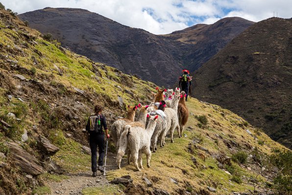 Peru-overalternatievepaden-omslagshutterstock_1246573531.jpg