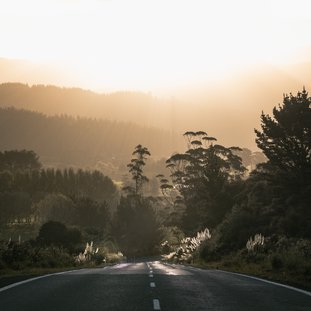 RoadinCoromandel-Nieuw-Zeeland.jpg