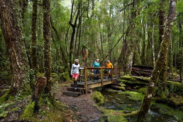 GreatWalks_CradleMountain_tasmania.jpg