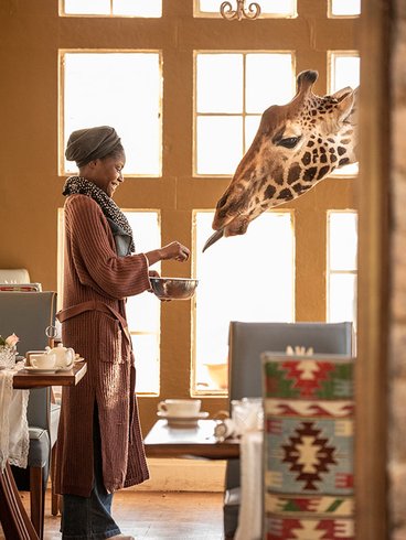 GiraffeKENIA-Activities-Breakfast-With-Giraffe.jpg
