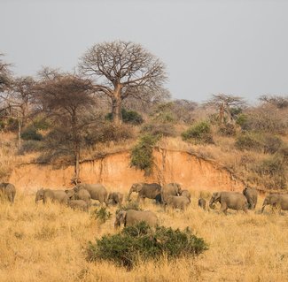 RUAHA2.jpg