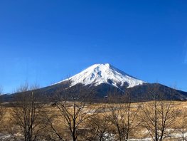 Japan Winter