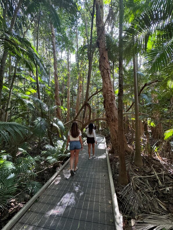 6 Daintree-fotoElisabeth.jpg