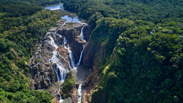8 Daintree-CreditTourismAustralia.jpg