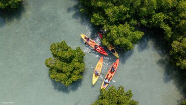 IMG-20250304-WA0015-scaled.jpg