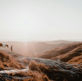 Sumba_febiyan-hYFt6InTIKE-unsplash.jpg