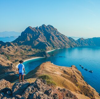 Komodo_shutterstock_2498637867.jpg