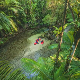 BackCountryBliss_DaintreeRainforest.jpg