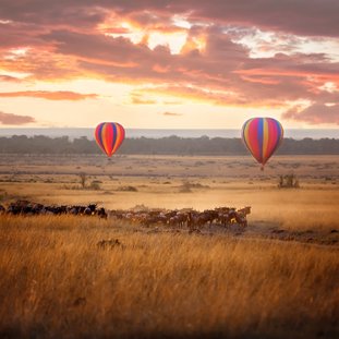 MasaiMara15.jpg